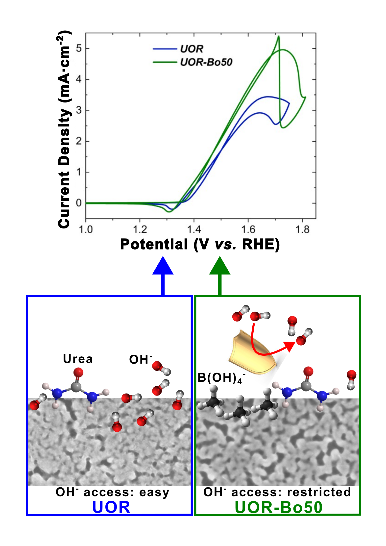 Logo for article 'Boosting urea electro-oxidation activity by pairing nanoporous nickel with borate anions'